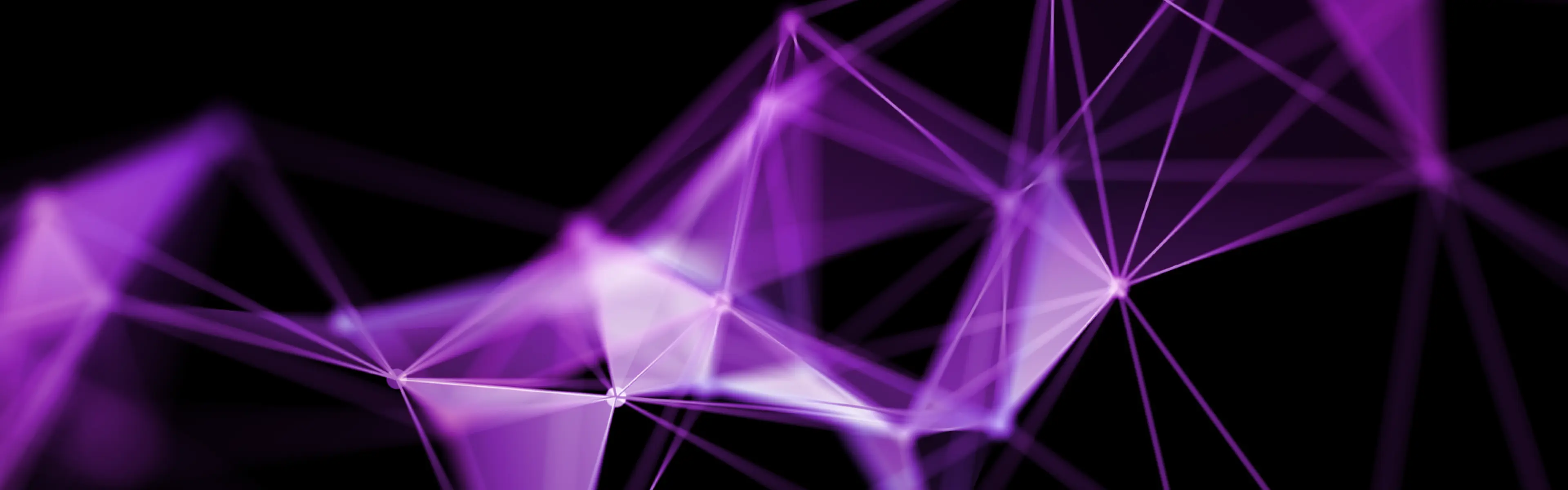 Strategy & Organization Consulting